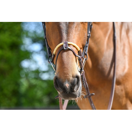 Kombinierter Nasenriemen Seil Jump'In