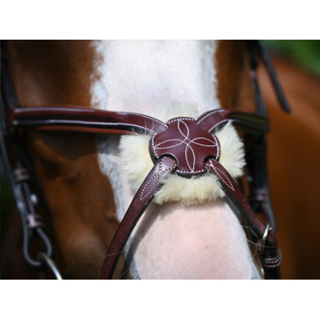 Nasenriemen Tuesday Jump'In