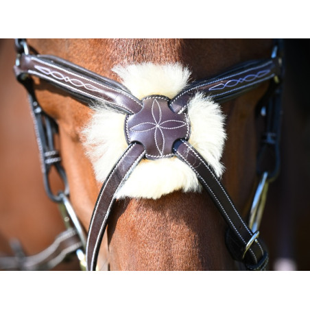 Nasenriemen Wednesday Jump'In