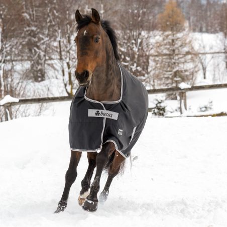 Wasserdichte Decke Bucas Anniversary Turnout 50g SF