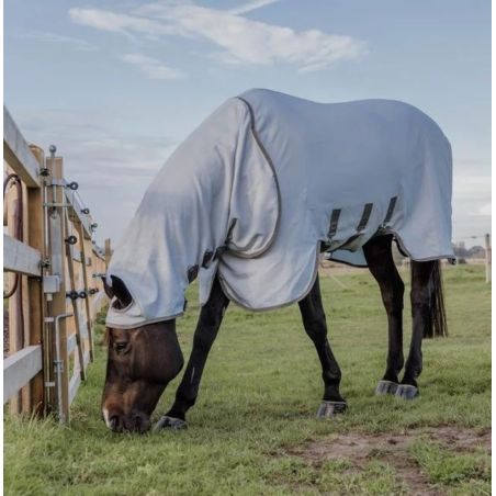 Kentucky Ekzemerdecke