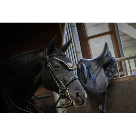 Lackiertes Dressurzaum Jump'In Week