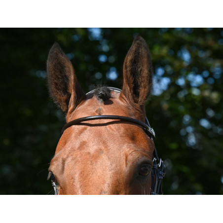 Frontal Jump'In Lackleder rund