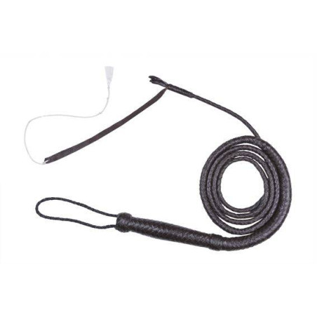 Westlicher Peitsche HKM