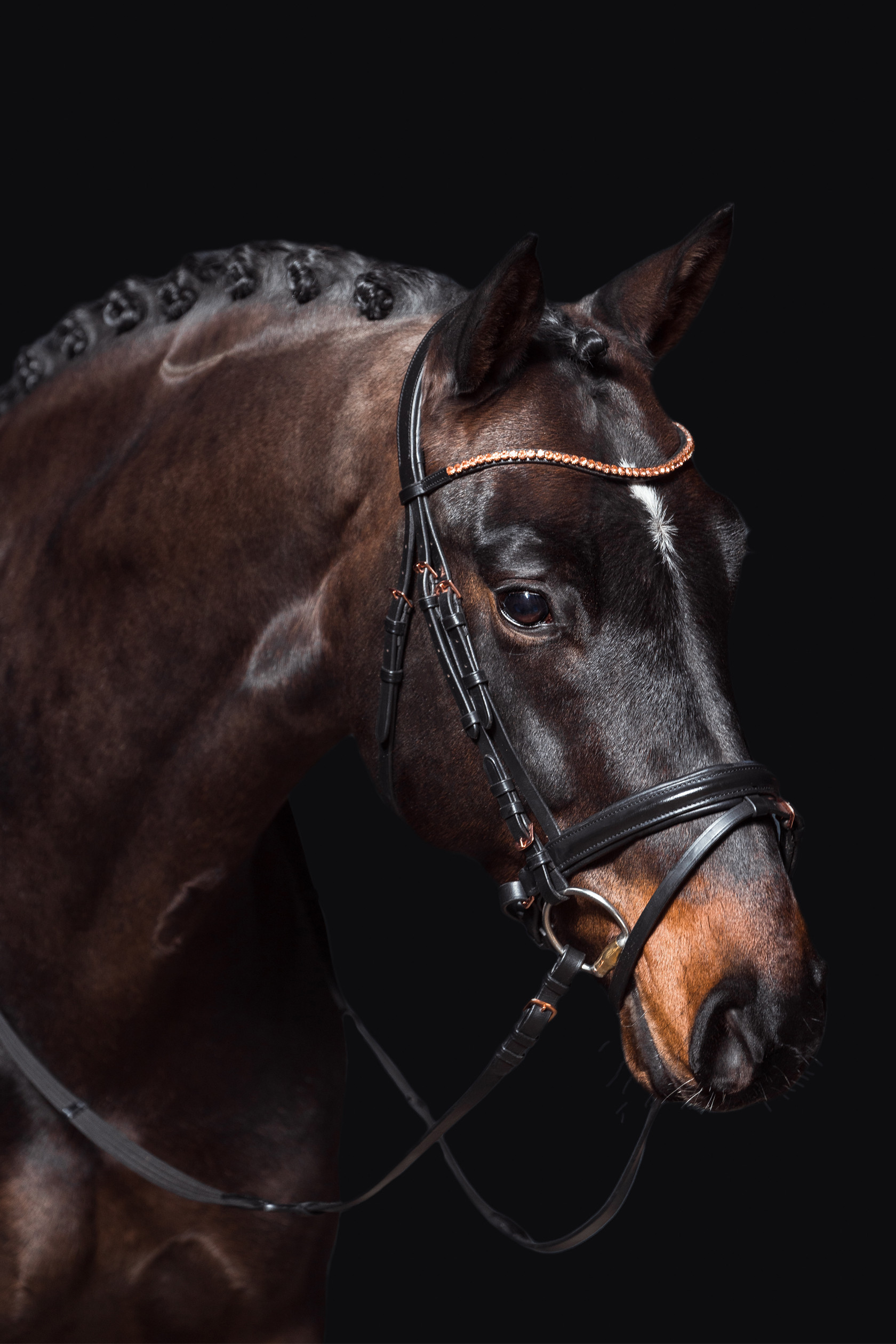 Trense Rosegold Glamour Style HKM Schwarz / Roségold