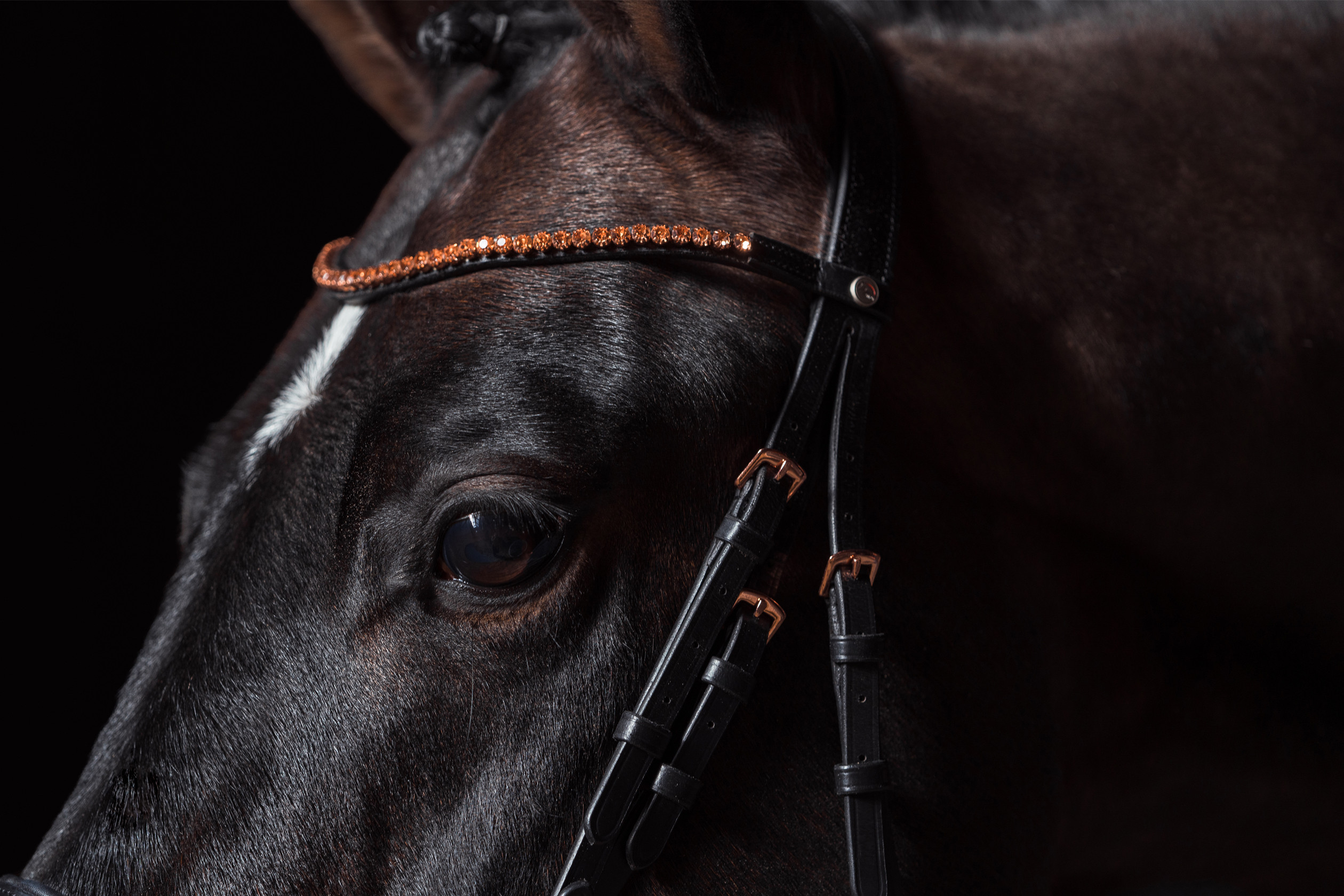 Trense Rosegold Glamour Style HKM Schwarz / Roségold