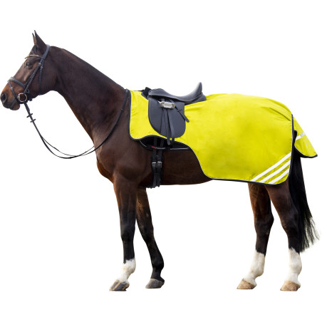 Polar-Ausreitdecke Reflective Fleecefutter HKM