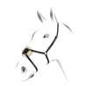 Trense mit mexikanischem Reithalfter Equestro - Schwarz