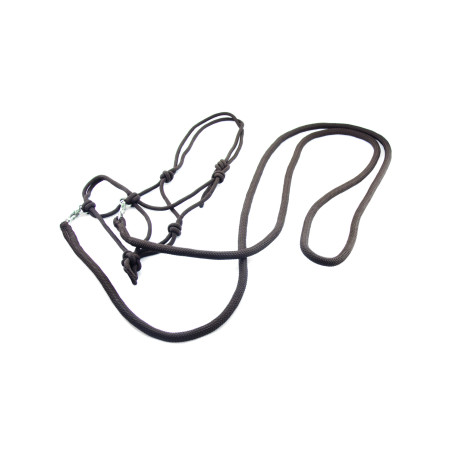 Genickstück mit Zügeln und Karabinern Umbria Equitazione