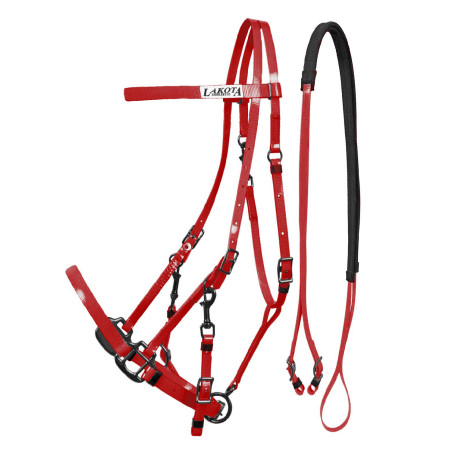 Trensenzaum Halfter aus Biothane Lakota