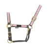 Nylonhalfter mit farbigen Teilen Umbria Equitazione - Grau / Rosa
