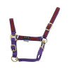 Nylonhalfter mit farbigen Teilen Umbria Equitazione - Violett / Bordeaux