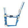 Nylonhalfter mit farbigen Teilen Umbria Equitazione - Royal / Weiß