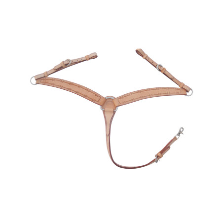 Brustblatt Barbwire Pool's