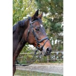 Schwarzes klassisches Lederzaumzeug