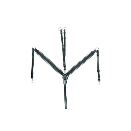 Elastischer Vorderzeug mit Martingal Supreme