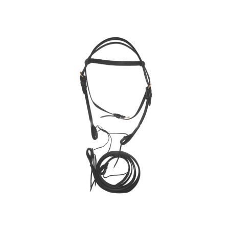 Doppeltes Western-Zaumzeug aus Leder mit Zügeln Lakota