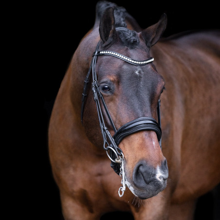 Imperial Riding Athena Trense