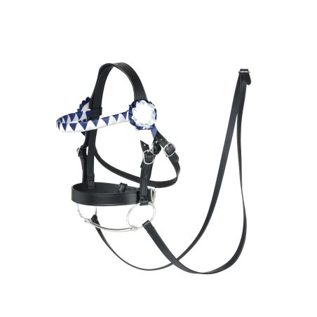 Hobby Horse Showing Zaumzeug LeMieux