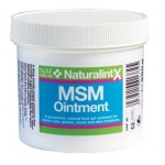 MSM Salbe NaturalintX NAF