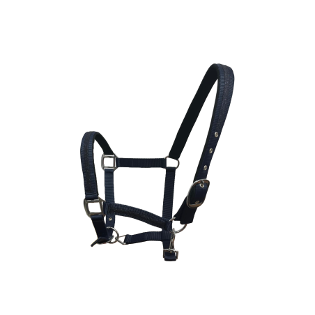 Set aus Halfter und Führstrick Flags & Cup Atamik