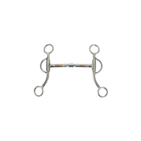 Edelstahlgebiss mit doppeltem Bruch Pool's