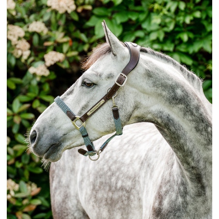 Horseware geflochtenes Signature-Halfter