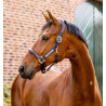 Signature Wettkampf-Halfter von Horseware - Braun / Marine
