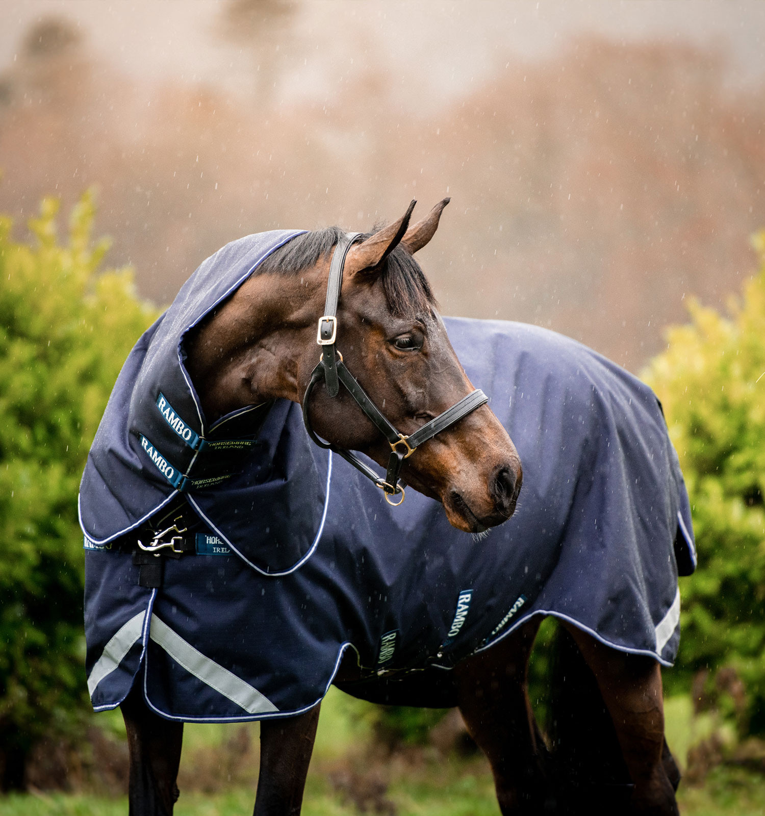 Horseware Rambo Duo Force 100g Decke mit 100g und 300g Linern Marine / Marine / Weiß Marineblau Horseware Rambo Duo Force 100g Decke mit 100g und 300g Linern Marine / Marine / Weiß Marineblau