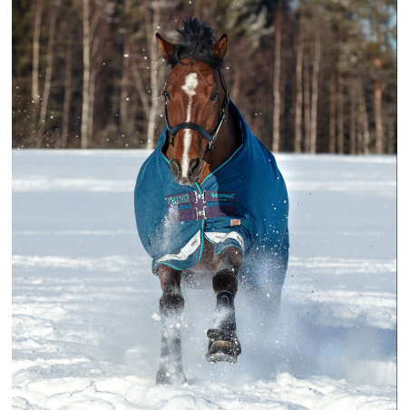 Pferdedecke Horseware Rhino Original Vari-Layer 250g