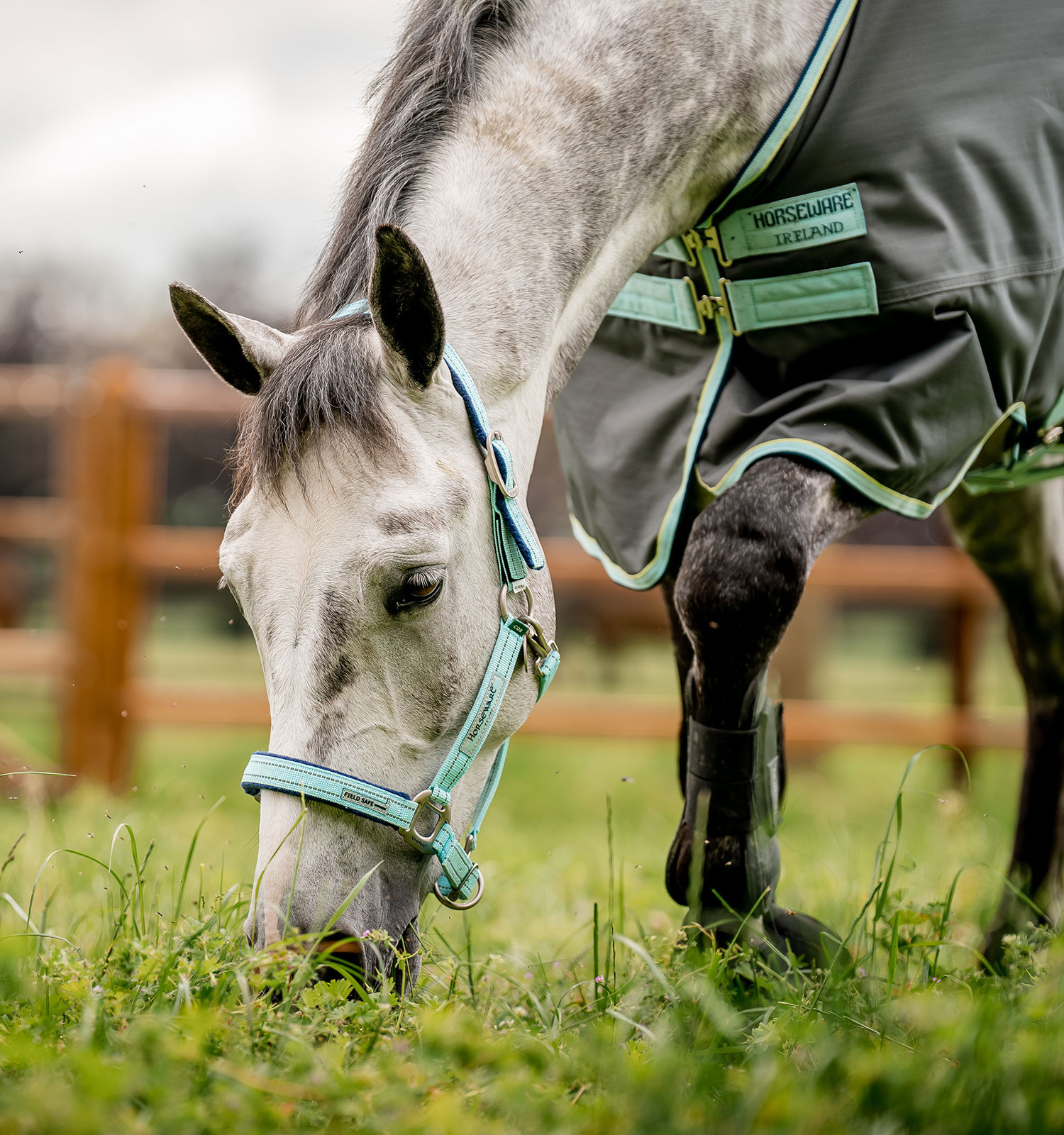Licol Spécial Pâturage Horseware® Fieldsafe Haze bleu Licol Spécial Pâturage Horseware® Fieldsafe Haze bleu