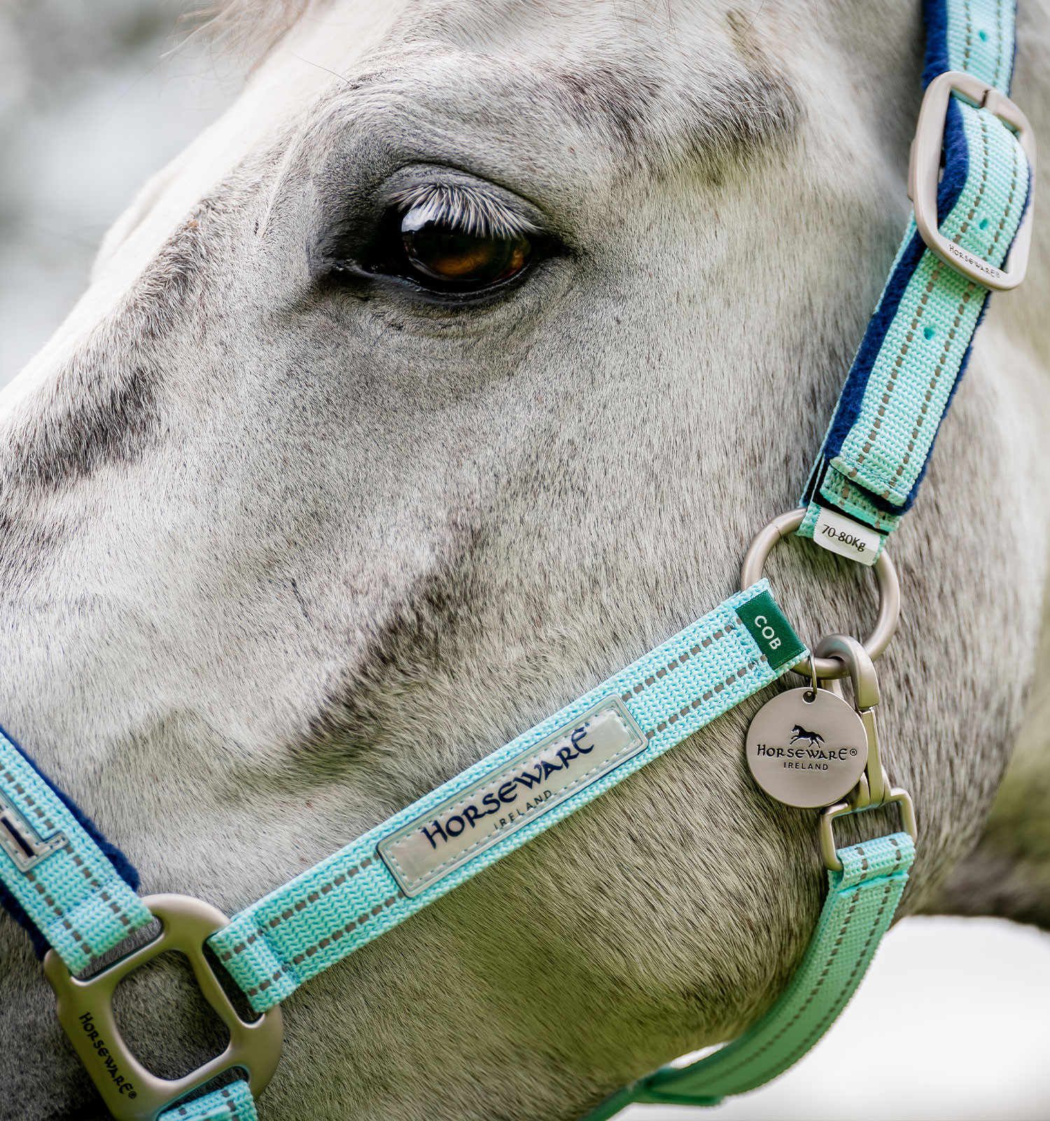 Licol Spécial Pâturage Horseware® Fieldsafe Haze bleu Licol Spécial Pâturage Horseware® Fieldsafe Haze bleu