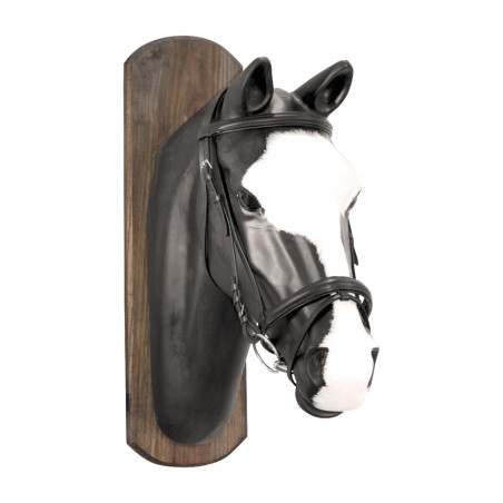 Filet Derby mit Baumwollzügeln