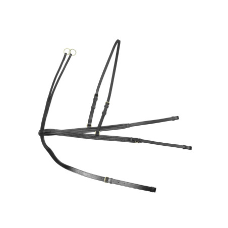 Martingal und Vorderzeug Denver