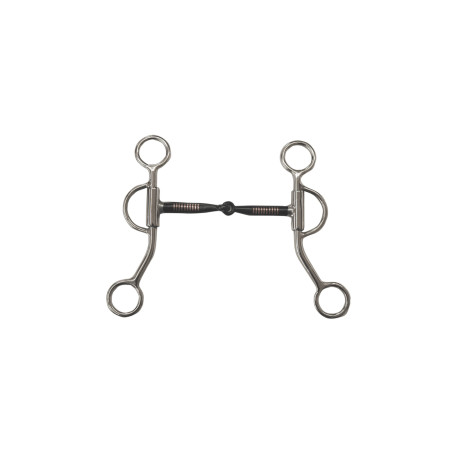 Edelstahlgebiss mit Kupfereinlagen Pool's