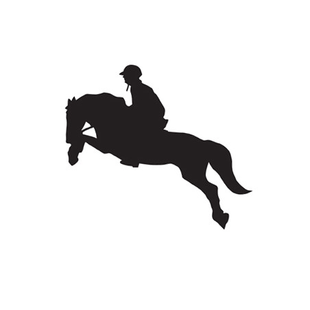 Autoaufkleber HKM Jumping 2