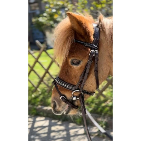 Trense Pénélope Eden