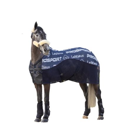 Kühlende Decke LeMieux Carbon
