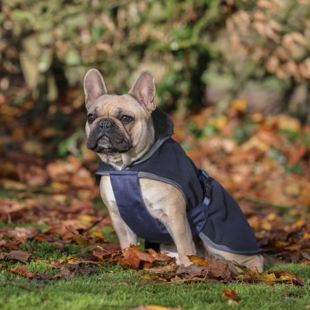 Hundedecke Show-Line Bucas