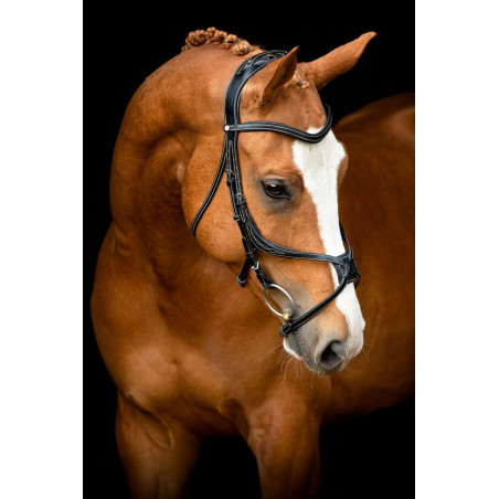 Bridon Montar Lyon 8-Fig gegerbtes Leder