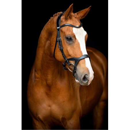 Bridon Montar Monarch organisch gegerbtes Leder