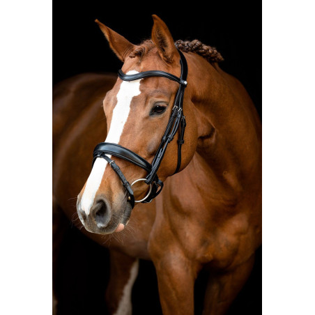 Trensenzaum Montar Normandie gegerbtes Leder