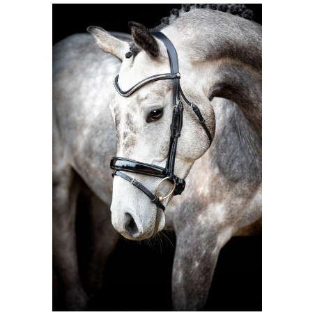 Trense Montar Normandie Deluxe gegerbtes Leder