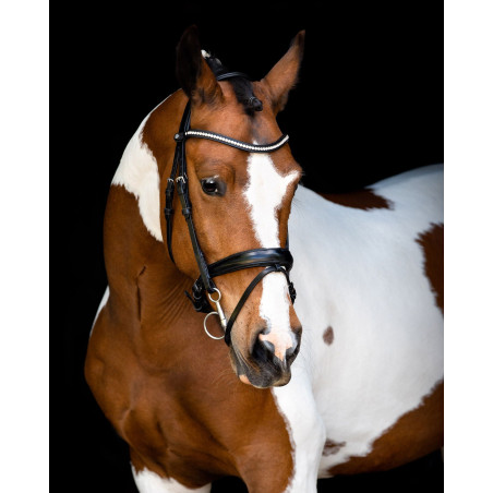 Trense Montar Anatomisches Genickstück Fair