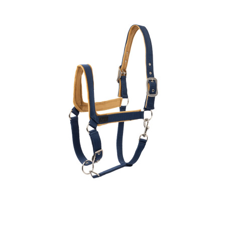 Halfter Delémont Horze