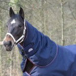 Halsabdeckung Equithème Tyrex 1200 D 0g