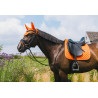 Fliegenhaube Kentucky Wellington Diamond Rope - Orange