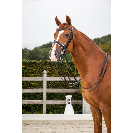 Dy'on Trense Kollektion Dressur Flachleder Reithalfter Breit Lack Weißes Futter