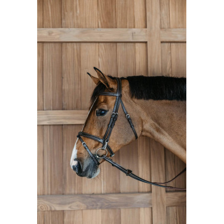 Trense Working by Dy'on kombiniert mit Reithalfter und Karabinern