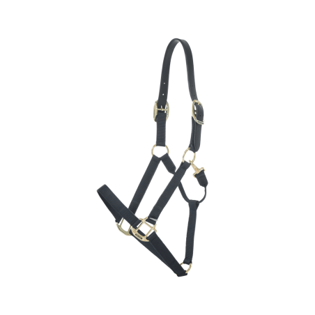 Nylon Halfter Breakaway Kentucky